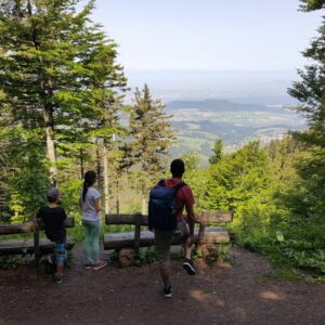 black forest day hike