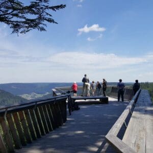 scenic view black forest