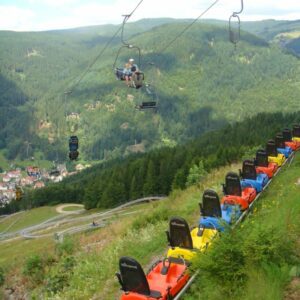 summer luge germany