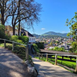 Best of Freiburg hike (6)