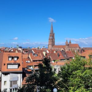Best of Freiburg hike (7)
